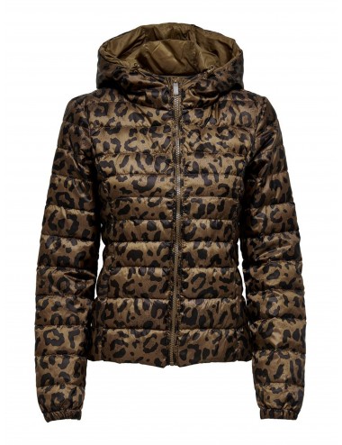 Only Women's Jacket-Brown