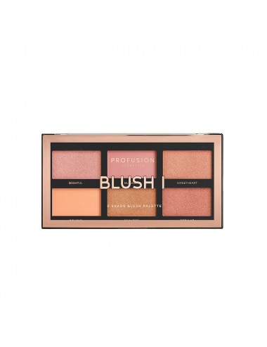 Profusion Blush I face blush Palette 15.6g