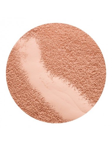 Pixie My Secret Mineral Rouge Blush Soft Coral Powder 4.5g