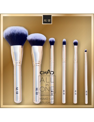 Auri-Chad All in One Dimensional Make-up Brushes set of 6 brushes